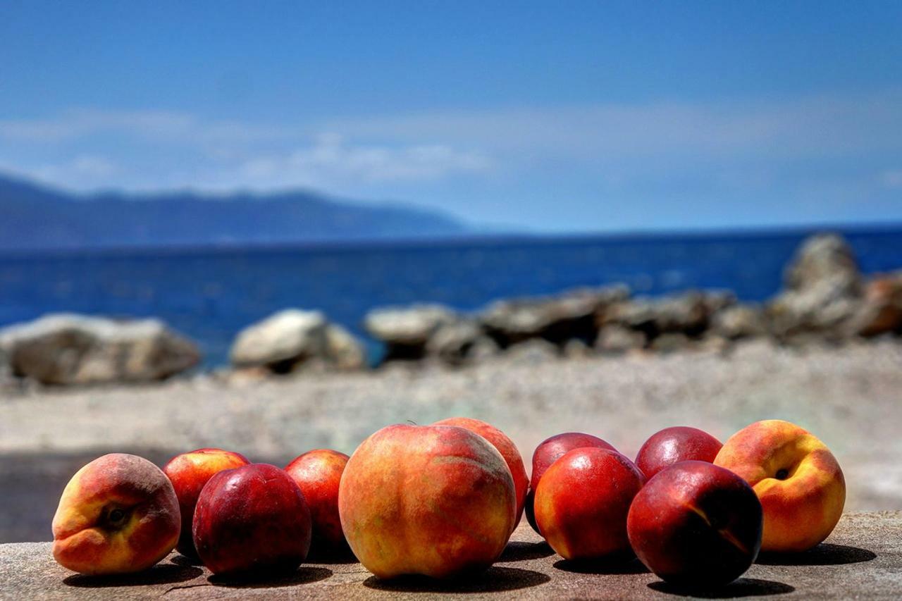 Ianos Maisonette Paralia Sergoulas Buitenkant foto
