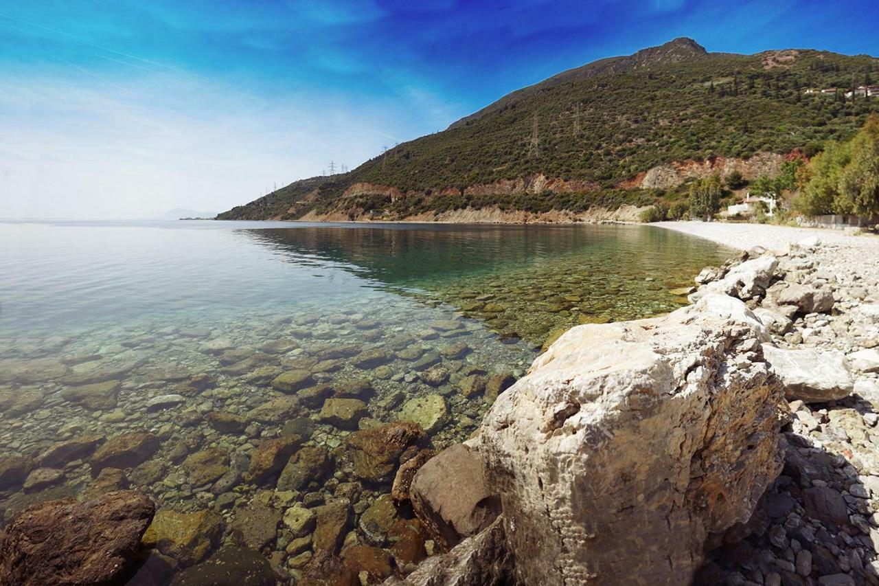 Ianos Maisonette Paralia Sergoulas Buitenkant foto